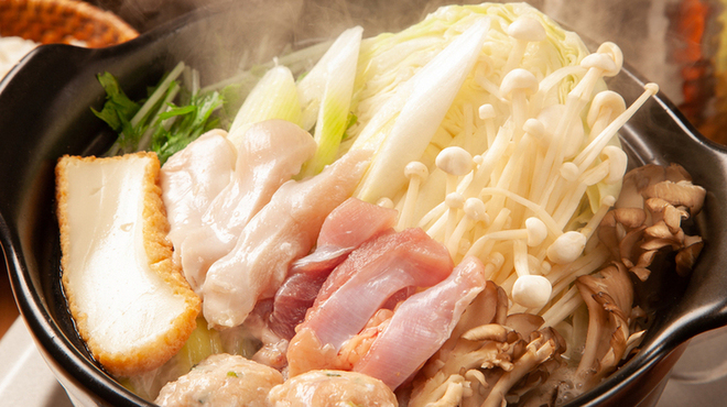 本家比内邸 - メイン写真: