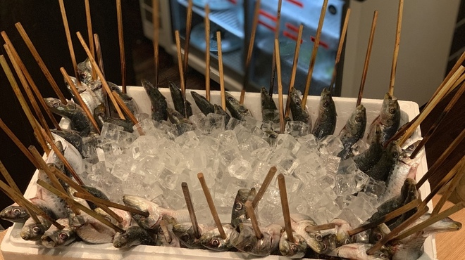 炉ばた 灯台 - メイン写真: