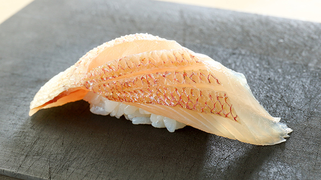 松栄 - 料理写真:
