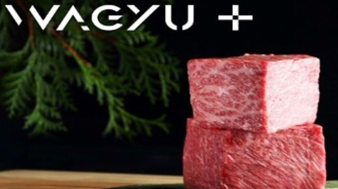 松阪牛 完全個室 肉割烹 Wagyu 赤坂 赤坂 焼肉 ネット予約可 食べログ