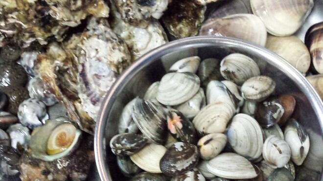 海鮮酒場 魚波 - 料理写真: