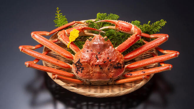 割烹 柊 - 料理写真:福井産の越前蟹