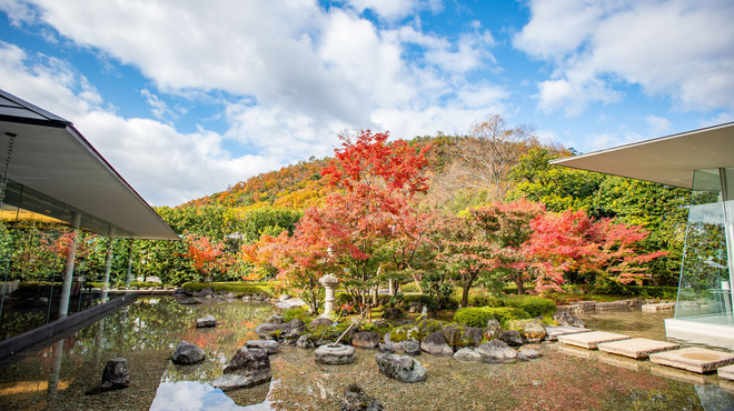 京都北山モノリス - メイン写真: