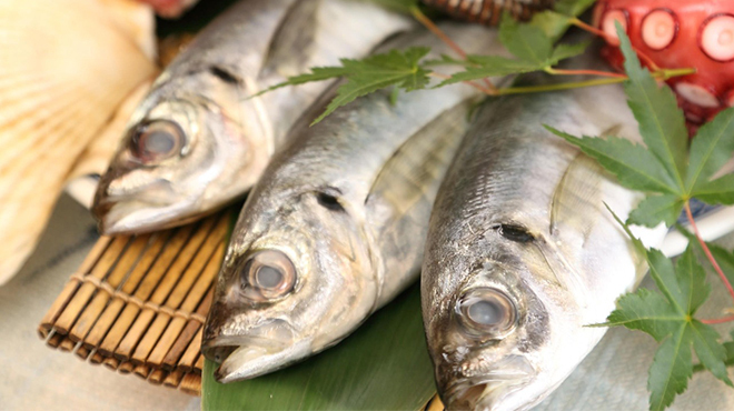 五六八そば - メイン写真: