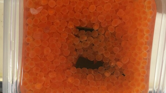 食童 箸ずめ - 料理写真: