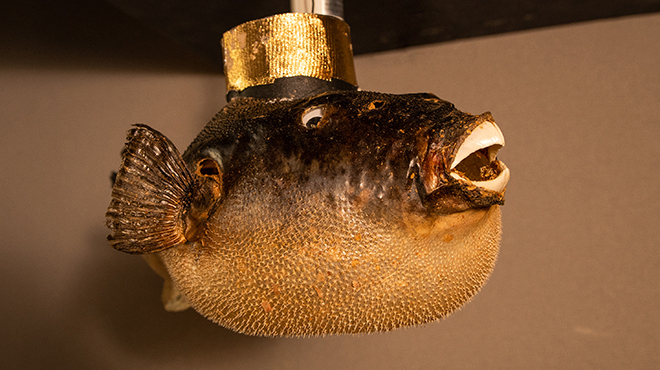 ふぐ利俊 六本木 ふぐ ネット予約可 食べログ