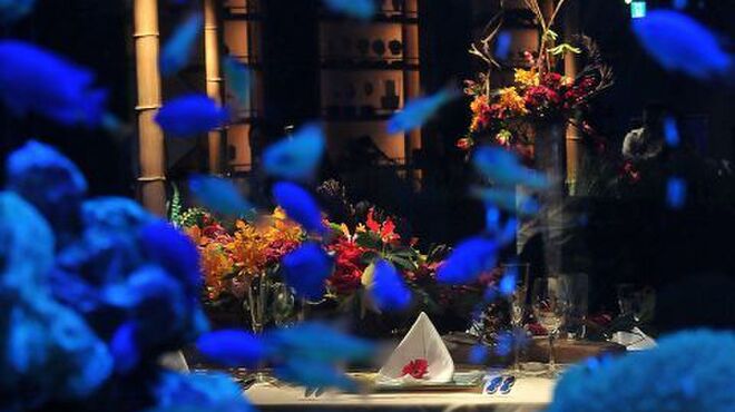 Blue アンドブルー 栄 名古屋 居酒屋 ネット予約可 食べログ