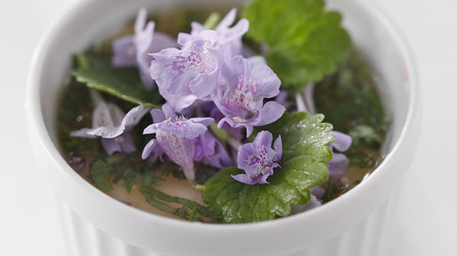 E.Bu.Ri.Ko - 料理写真:山野草のムース、カキドオシの花と