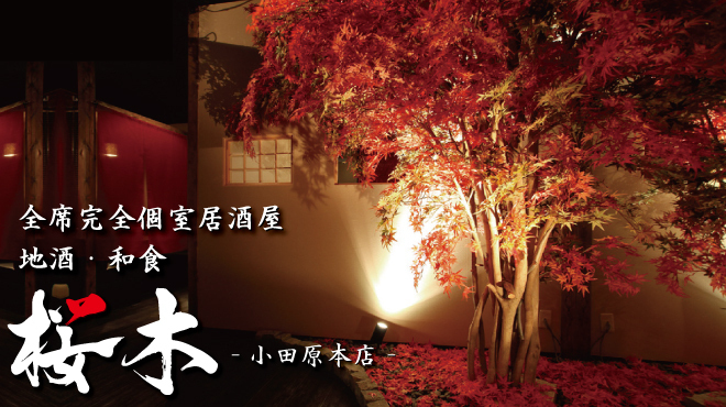 地酒 和食 桜木 小田原本店 小田原 居酒屋 ネット予約可 食べログ