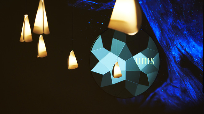 unis - 内観写真:ハレの日を彩る映像演出