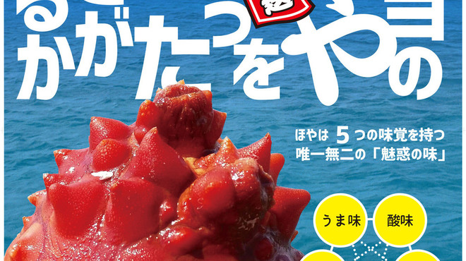 宮城直送 かきほや飛梅 - メイン写真: