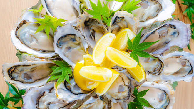 牡蠣海鮮料理 かき家 こだはる - メイン写真: