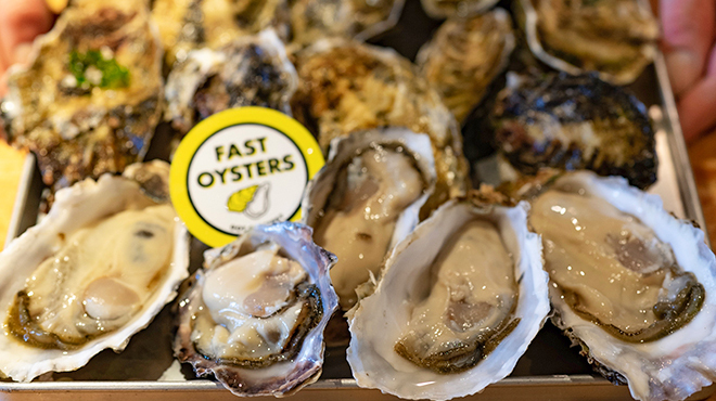 FAST OYSTERS - メイン写真: