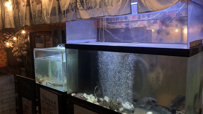 津軽海峡鮮魚店 - 料理写真:店頭水槽には、旬の魚介！