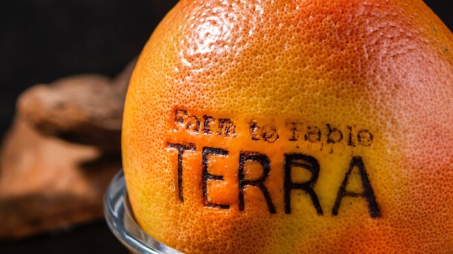 Farm to Table TERRA - ドリンク写真: