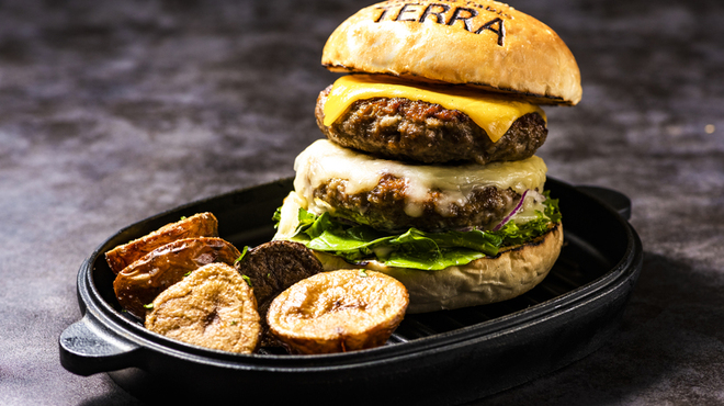 Farm to Table TERRA - 料理写真: