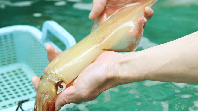 銀座船形 - 料理写真: