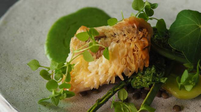 旬熟成 - メイン写真: