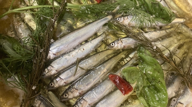 食堂デイズ - メイン写真: