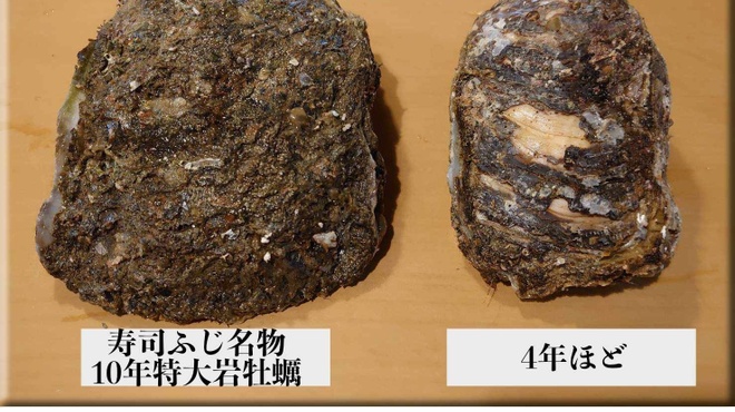 京料理　寿司ふじ - 料理写真:寿司ふじ夏の名物! 「10年大岩牡蠣」