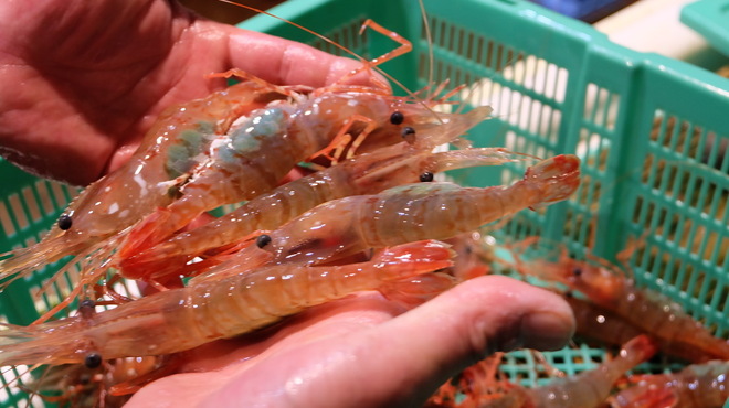 炭火食堂 凪 - メイン写真: