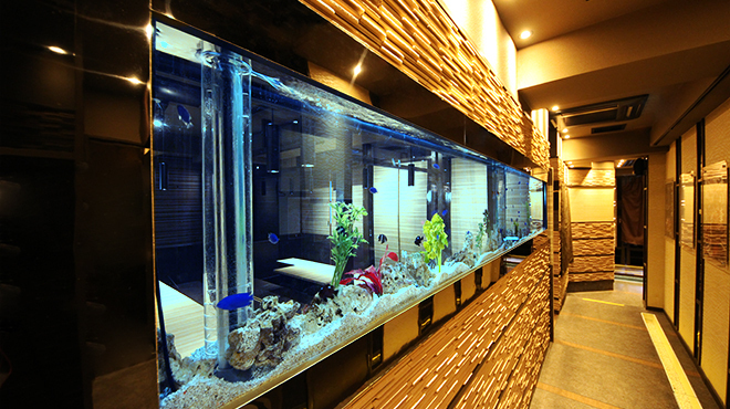 京野菜と旬鮮魚 京兵衛 立川店 旧店名 立川 海鮮個室居酒屋 魚充 立川南 居酒屋 ネット予約可 食べログ 京野菜と旬鮮魚 京兵衛 立川店 旧店名 立川 海鮮個室居酒屋 魚充 立川南 居酒屋 ネット予約可 食べログ