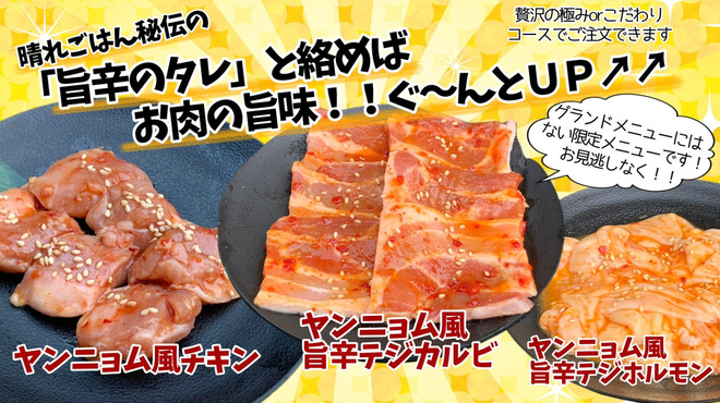 焼肉テーブルオーダーバイキング 晴れごはん 本郷 焼肉 ネット予約可 食べログ
