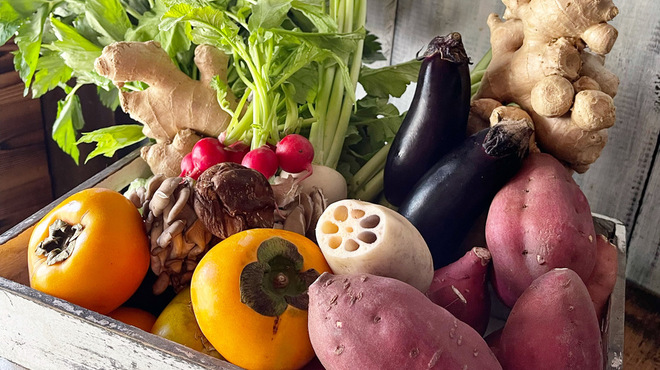 生姜料理 しょうが - メイン写真: