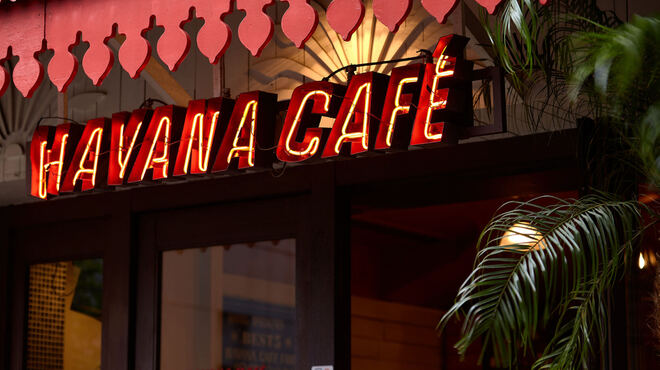 HAVANA CAFE - メイン写真: