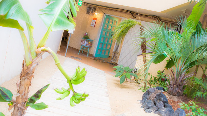 Bliss Burger Hawaii - メイン写真: