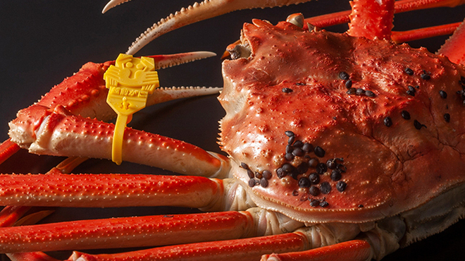 うなぎ 蟹 青海 - 料理写真: