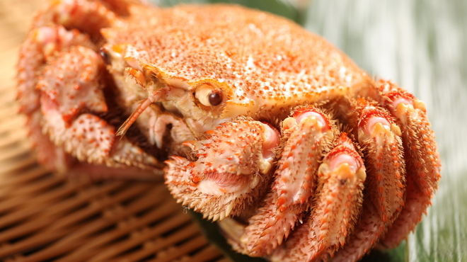 磯金 漁業部 枝幸港 - メイン写真: