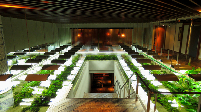 Ryuduki - メイン写真: