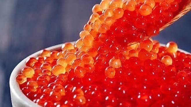 佐屋 - メイン写真: