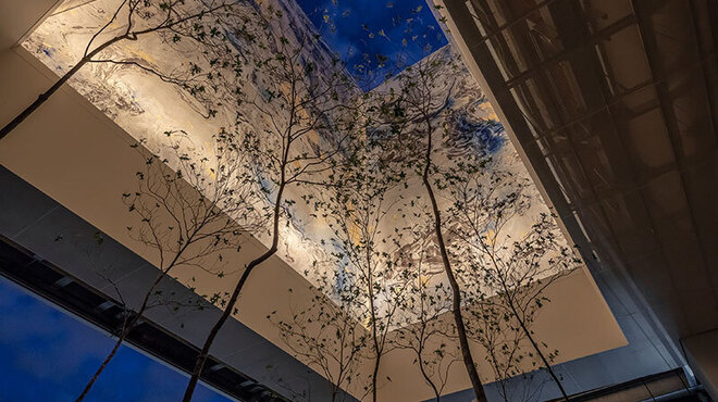 BALCON TOKYO - メイン写真: