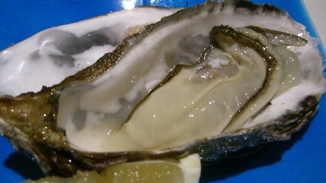 旬彩割烹 あうん - 料理写真:生かき