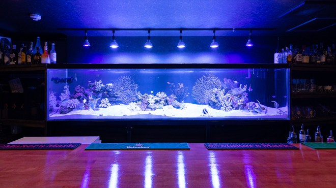 Aquarium bar OCEANS - メイン写真: