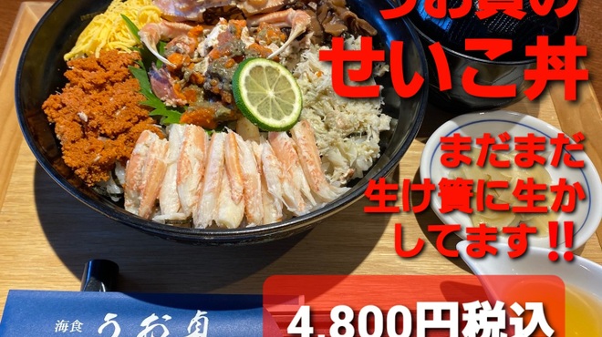 海食 うお貞 - 料理写真:生け簀に生かしたセイコがまだまだいます！！お早めにうお貞のセイコ丼をご賞味ください。