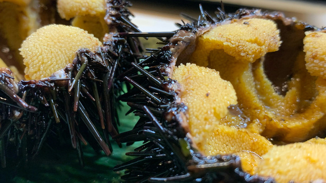 鮨光 - 料理写真: