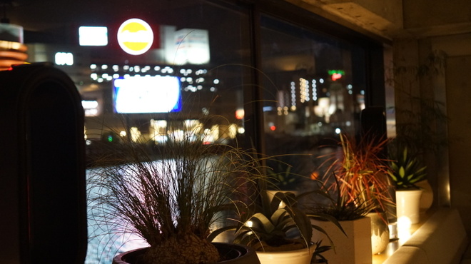 TRATTORIA KIKUYA - メイン写真: