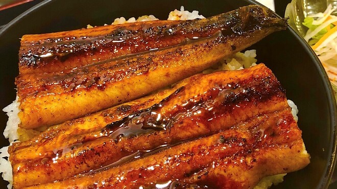 日比野市場鮮魚浜焼きセンター - 料理写真:うな丼