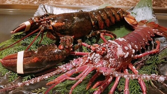 ステーキ割烹 DANRO' - 料理写真: