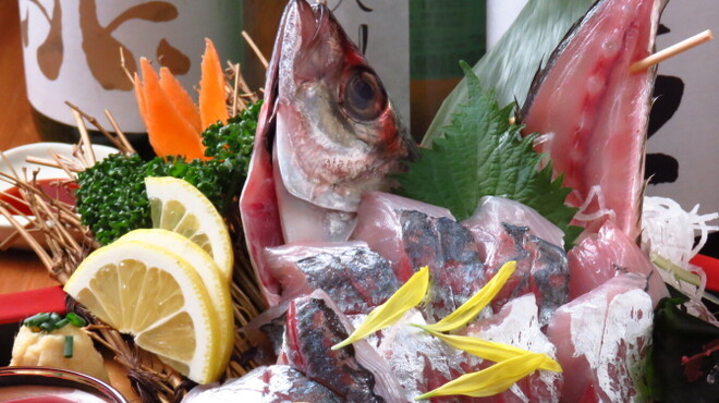 蔵元の酒と直送の魚 さかまる - メイン写真: