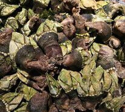 季彩や　ひで - メイン写真: