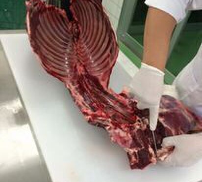 季彩や　ひで - メイン写真: