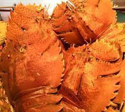 季彩や　ひで - メイン写真: