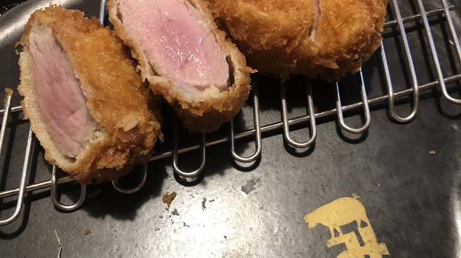 Tonkatsu Ando Hambagu Takutomi - 料理写真:上ヒレカツ