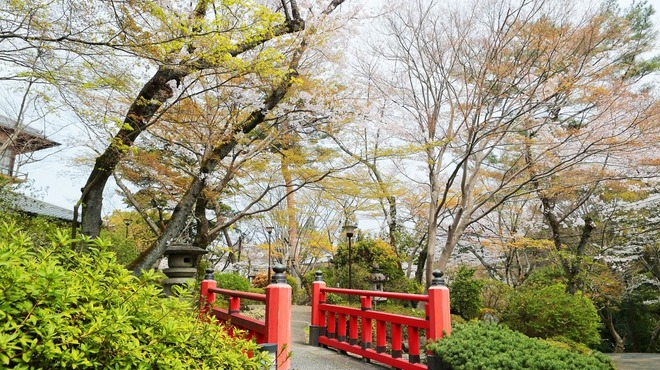 百楽荘 - 外観写真:桜
