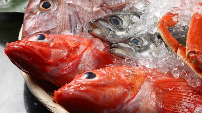 俺の魚を食ってみろ!!  - メイン写真: