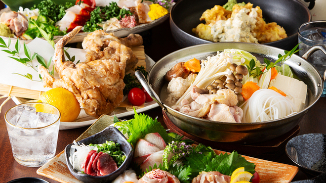 よか鶏 - メイン写真: